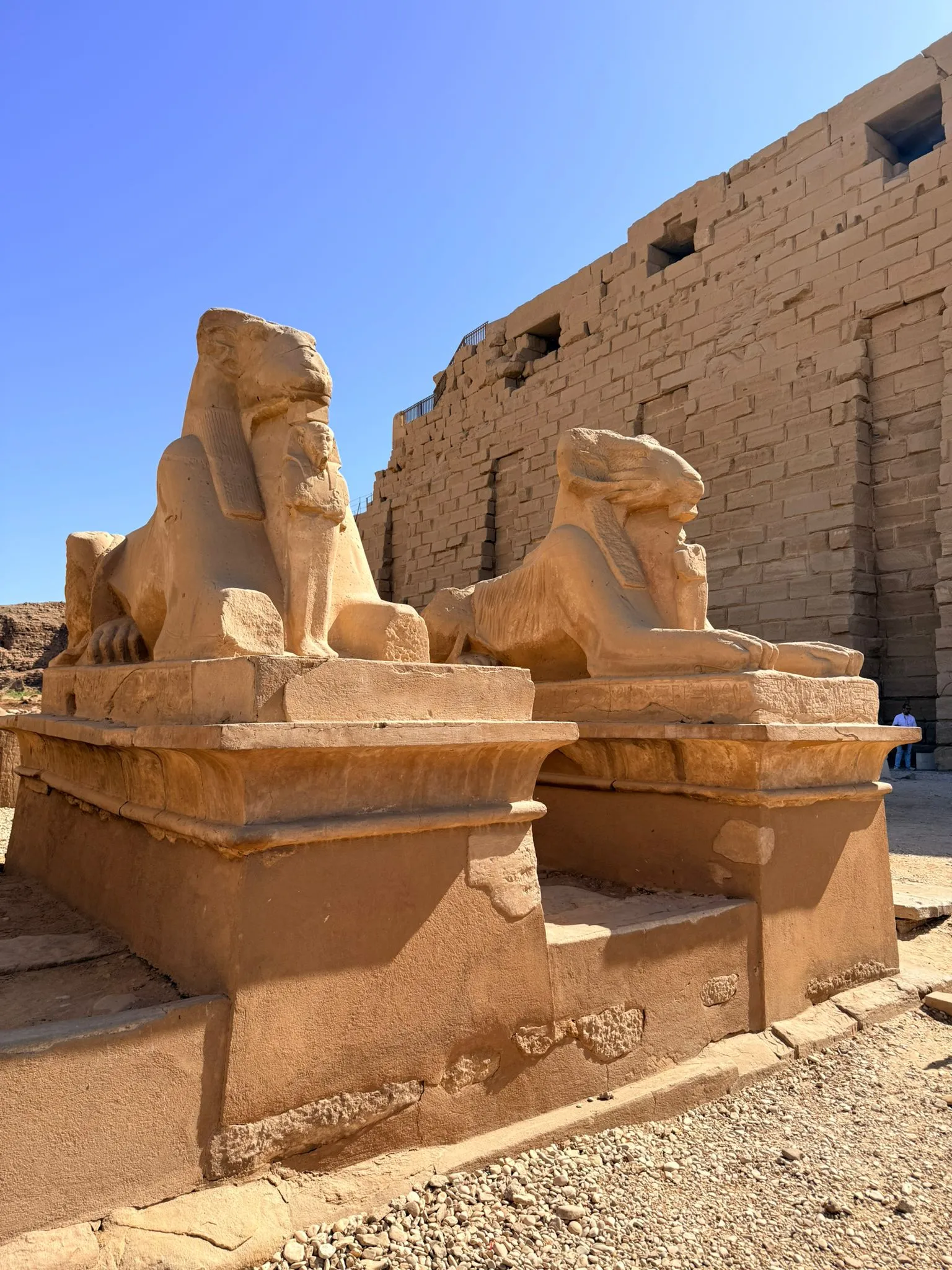 🏛️🐫 Luxor Day Trip from Marsa Alam ☀️✨ Luxor Day trip /IMG-20260310-WA0026.jpg